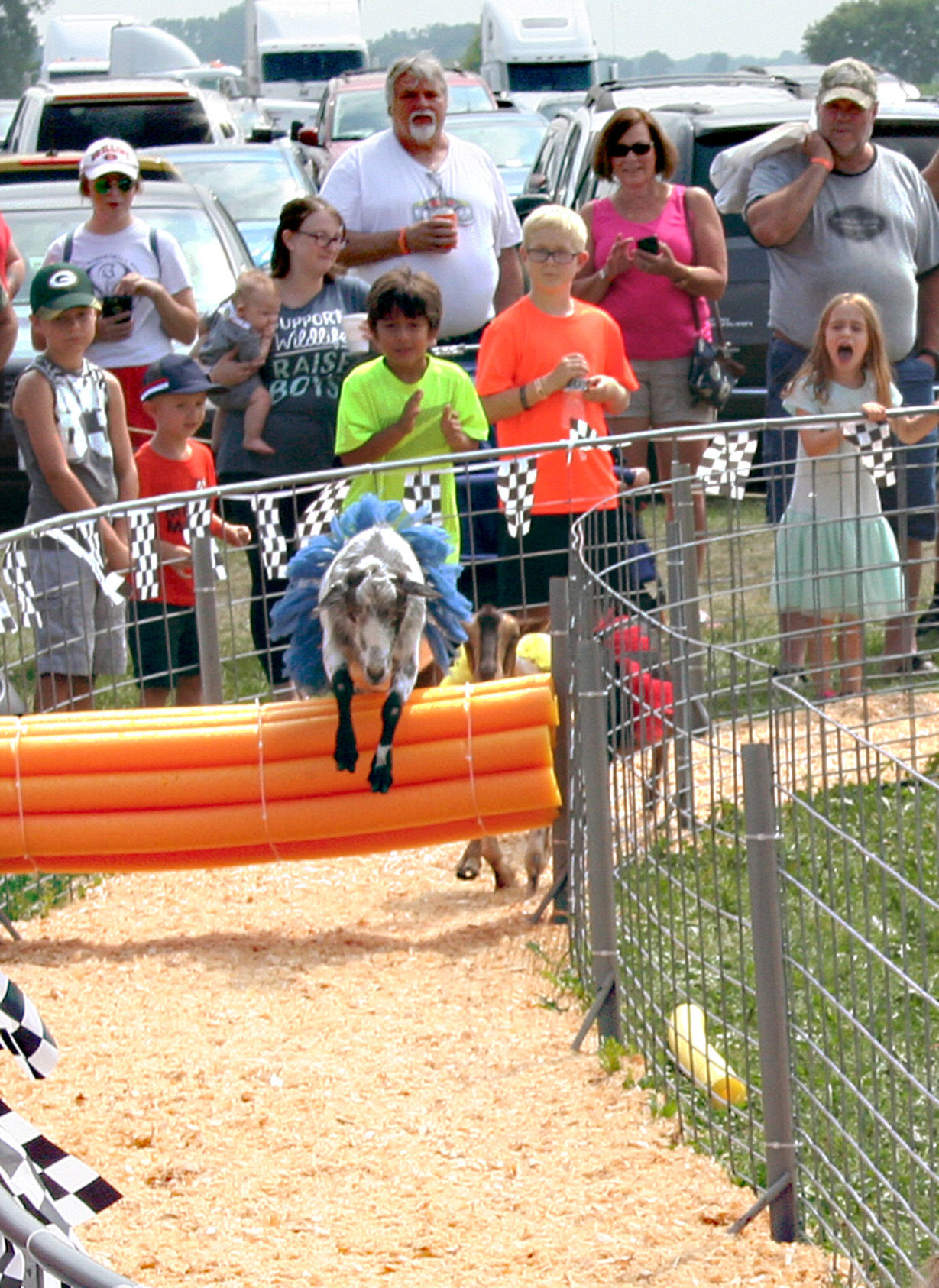 Dodge County Fair AH Saturday 3